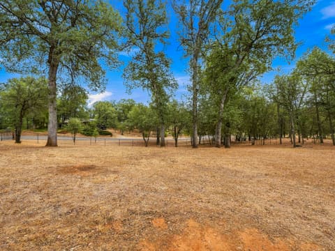 Photograph 46 of 13272 Opal Way